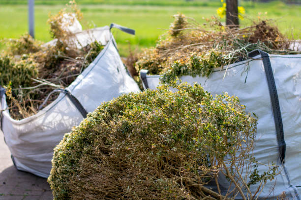 Best Moving and Downsizing Cleanouts  in Woodland Park, CO